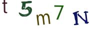 圖片的 CAPTCHA