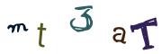 圖片的 CAPTCHA