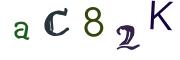 圖片的 CAPTCHA