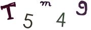 圖片的 CAPTCHA