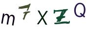 圖片的 CAPTCHA