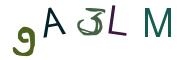圖片的 CAPTCHA