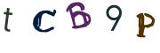 圖片的 CAPTCHA