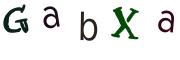 圖片的 CAPTCHA